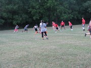 OTFL Gallery Image